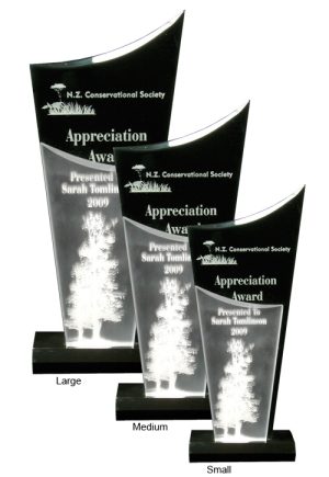Alternative view of Black Torch Award