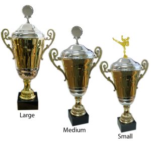 Alternative view of Delphi Trophy Cup