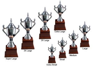 Alternative view of Cardiff Trophy Cup - Wood Base