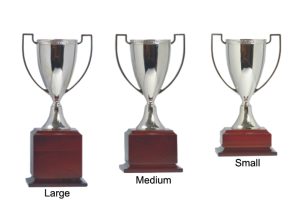 Alternative view of Laurel Trophy Cup
