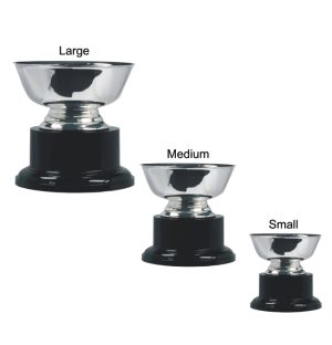 Alternative view of Paul Revere Rose Bowl Trophy