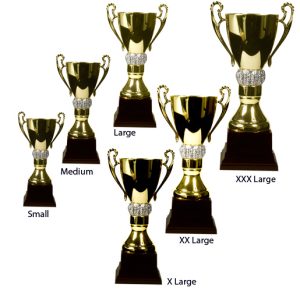 Alternative view of Grand Trophy Cup - Gold