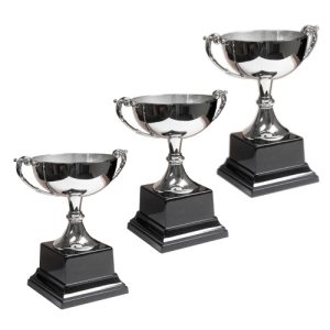 Alternative view of Wide Bowl Mini Trophy