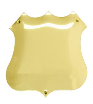 Side Shield Domed - Bright Gold