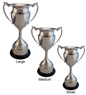 Alternative view of Tyne Trophy Cup