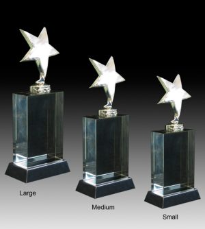 Alternative view of Montreal Crystal Award