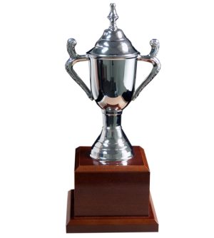 Cardiff Trophy Cup - Wood Base