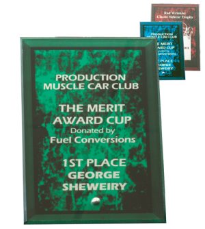 Photo Frame Marble Award