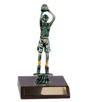 Basketball - Silver Female & Base