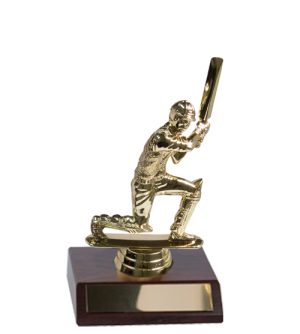 Cricket - Gold Batsman Kneeling & Base
