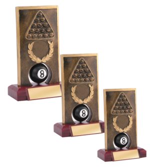 Alternative view of Pool Spinners Trophy