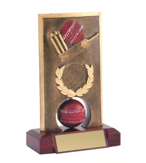 Cricket Spinner Trophy