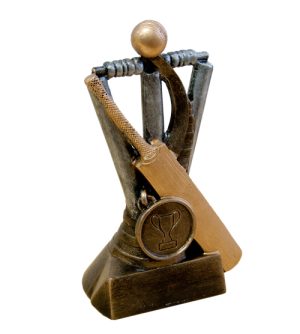 Cricket Sports Award