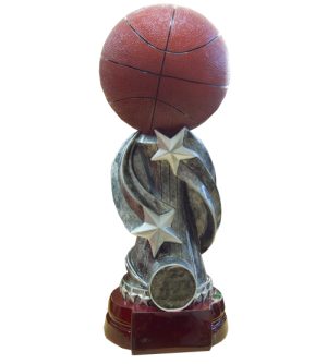 Basketball Top Star Award