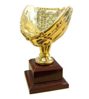 Gold Softball/Baseball Glove