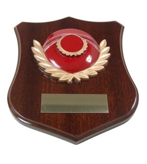 Cricket Shield