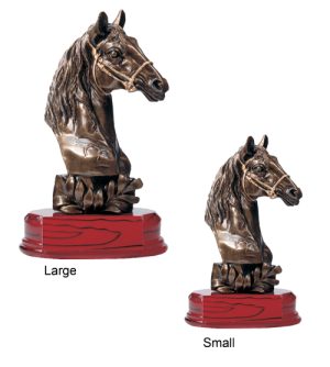 Alternative view of Horse's Head Award