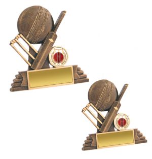 Alternative view of Cricket All Rounder