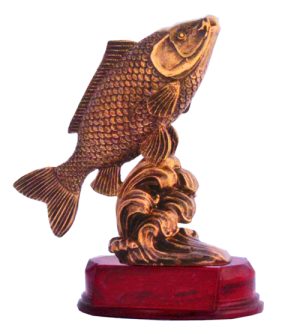 Fishing Trophy - Carp
