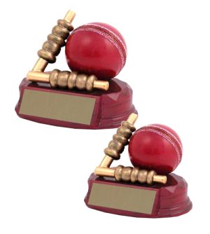 Alternative view of Cricket Ball & Bails