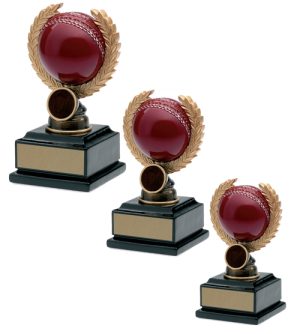 Alternative view of Cricket Ball & Wreath