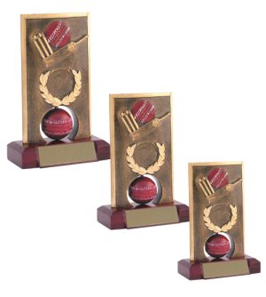 Alternative view of Cricket Spinner Trophy