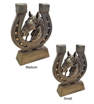 Alternative view of Horseshoe & Head