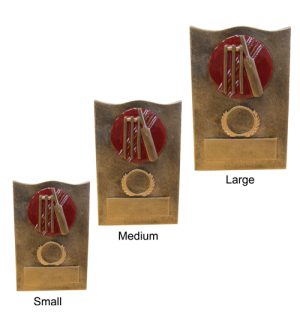 Alternative view of Cricket Plaque