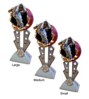 Alternative view of Breakout Cricket Award