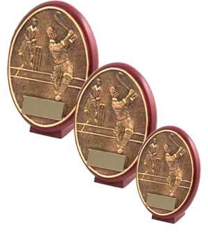 Alternative view of Cricket Oval Plaque