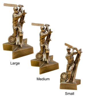 Alternative view of Superstar Cricket Batsman