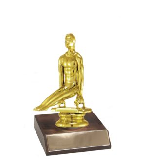 Gymnastics - Male & Base