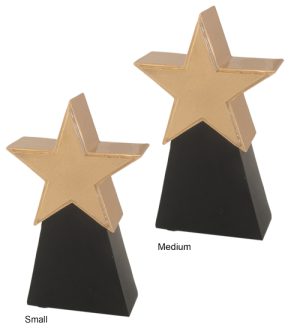 Alternative view of Shining Star Award