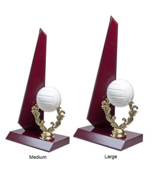 Alternative view of Netball Wing