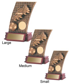 Alternative view of Football Net