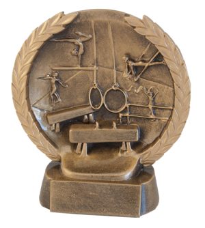 Gymnastics Male & Female