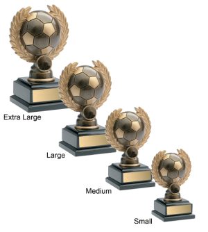 Alternative view of Football Ball & Wreath