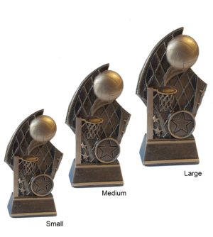 Alternative view of Dundee Netball Award