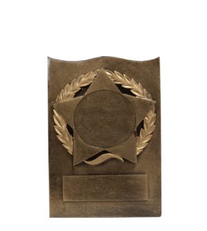 Kotinos Star - Hockey