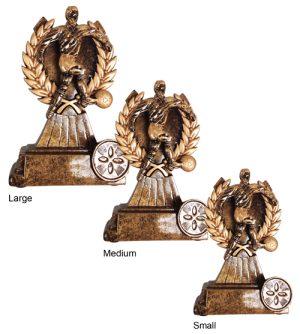 Football Action Award (v)