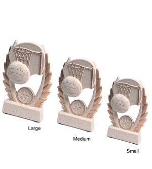 Alternative view of Netball Relief