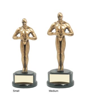 Alternative view of Male Achievement Award