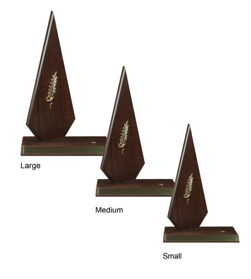 Arrow Range - Football - Image 2