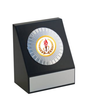 Dayton Award - Hockey