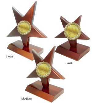 Alternative view of Rising Star Award - Football