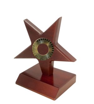 Alternative view of Bright Star Award - Victory