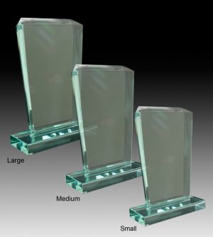 Alternative view of Glass Supreme Award