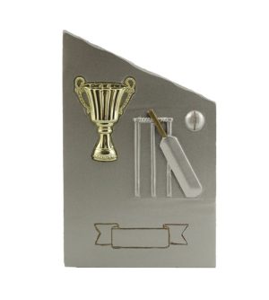 Cricket Plaque