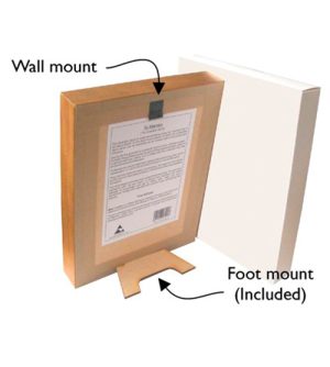 Alternative view of Framed Eel