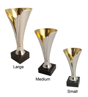 Alternative view of La Rochelle Trophy Cup